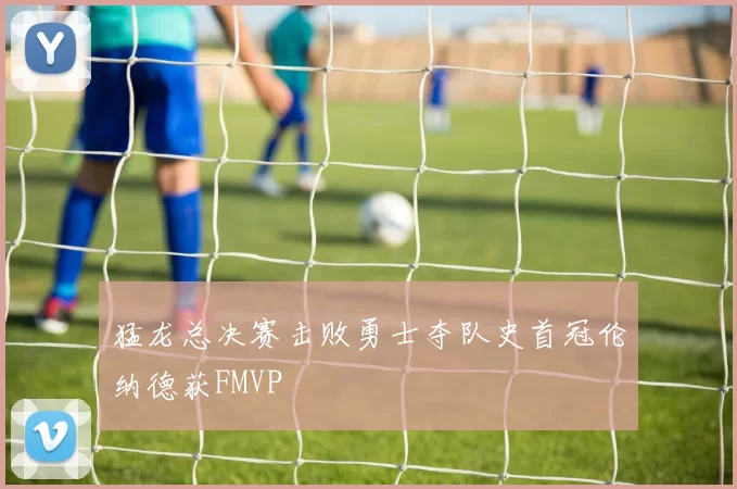 猛龙总决赛击败勇士夺队史首冠伦纳德获FMVP