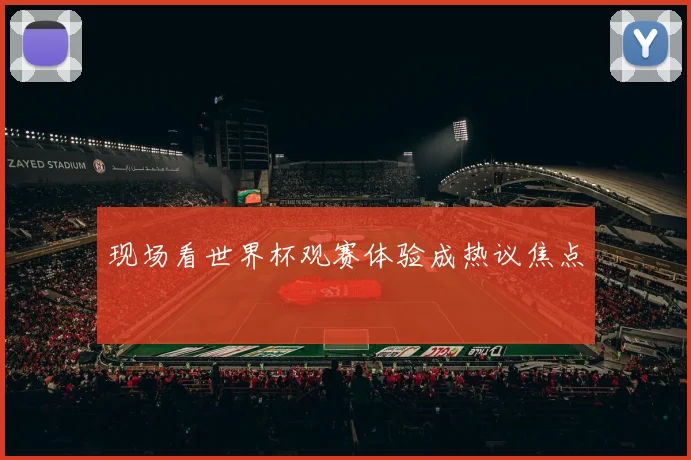 现场看世界杯观赛体验成热议焦点