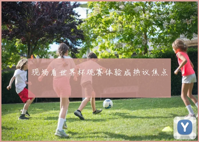 现场看世界杯观赛体验成热议焦点