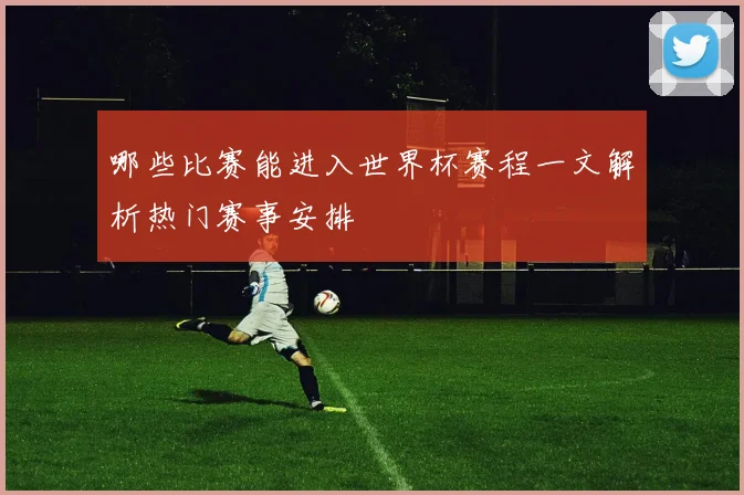 哪些比赛能进入世界杯赛程一文解析热门赛事安排