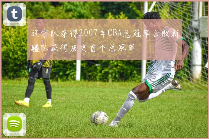 辽宁队夺得2007年CBA总冠军击败新疆队获得历史首个总冠军
