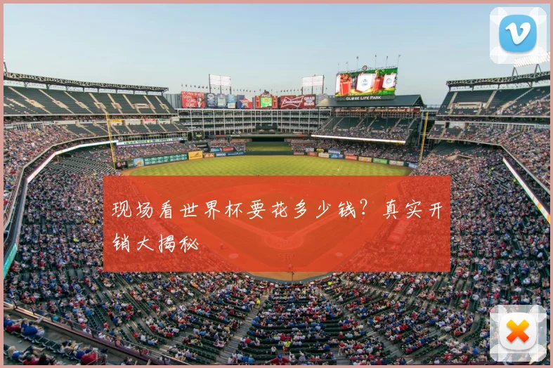 现场看世界杯要花多少钱?真实开销大揭秘
