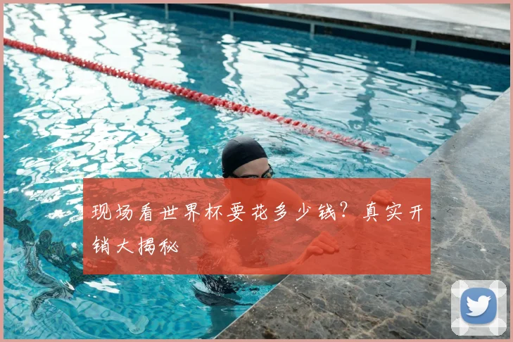 现场看世界杯要花多少钱?真实开销大揭秘
